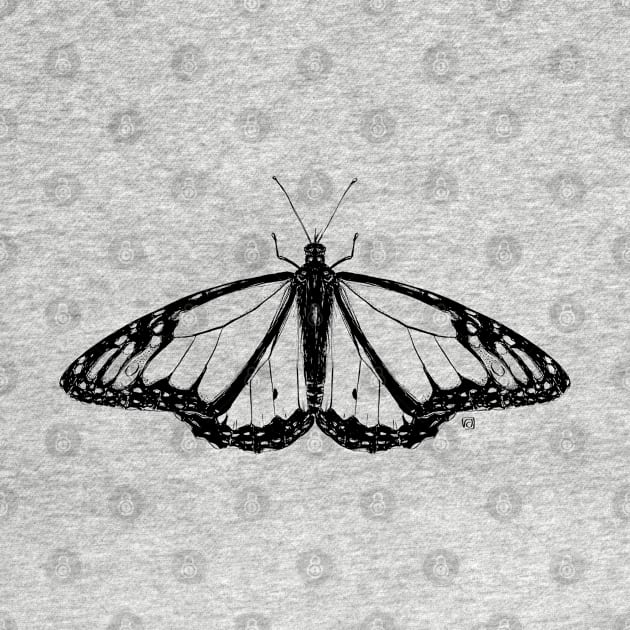 Not so real Butterfly I black-and-white by VeraAlmeida